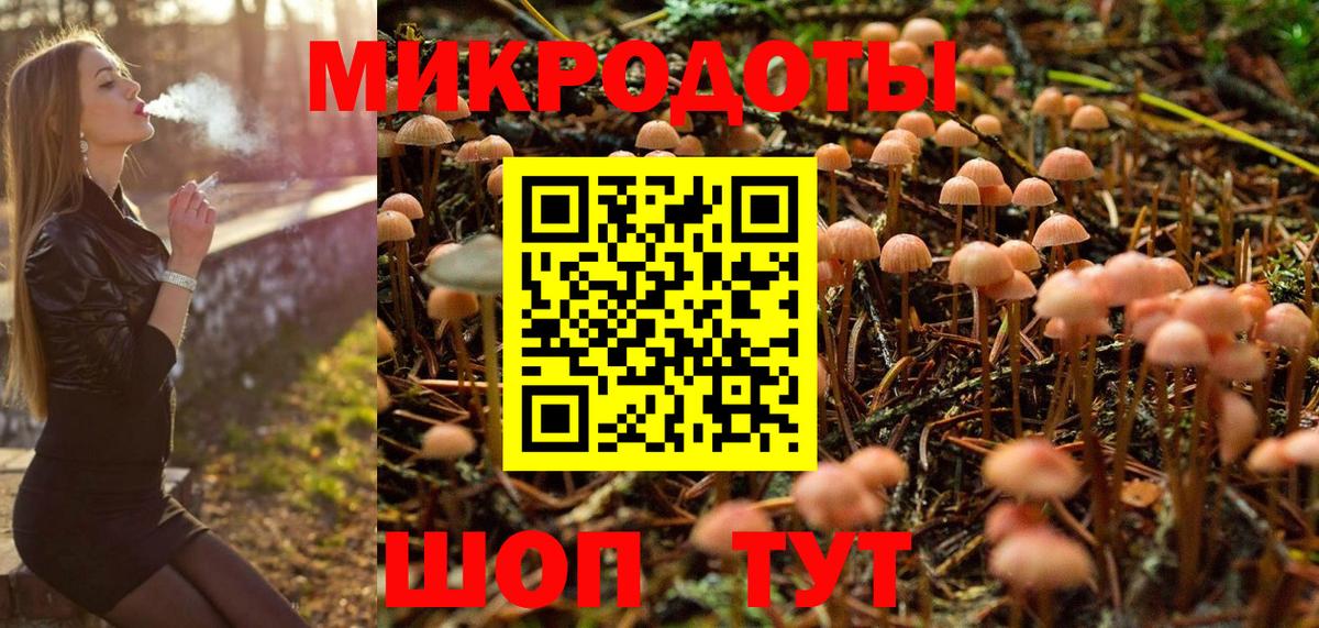 Галлюциногенные грибы MAGIC MUSHROOMS  купить  сайты  Заводоуковск  Вход с VPN  Псилоцибиновые грибы MAGIC MUSHROOMS 